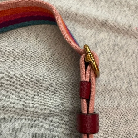 Coach REXY 🦖 rainbow carriage and Tan sling bag with rainbow 🌈 Strap - Picture 5 of 12